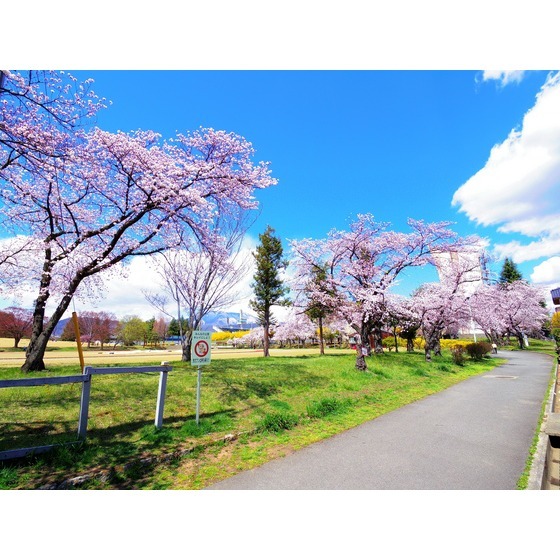 公園　運動公園南緑地（公園）まで513m