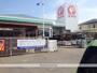 ホームセンター　コメリハード＆グリーン碧南店（ホームセンター）まで342m