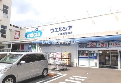 ドラックストア　ウエルシア小田原寿町店（ドラッグストア）まで529m