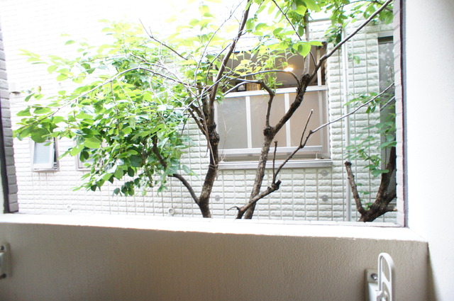 眺望　バルコニーからの眺めです！緑豊かな住環境！