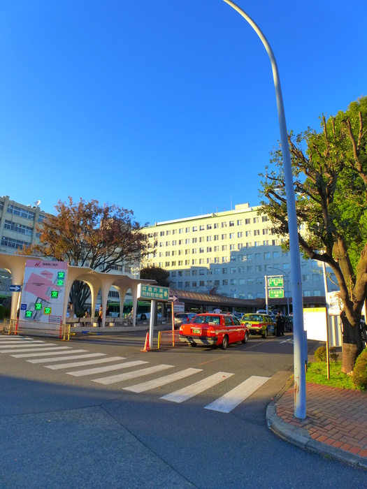 病院　日大医学部（病院）まで445m