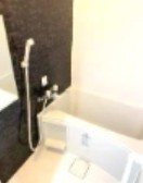 バス・シャワールーム　※別部屋参考写真