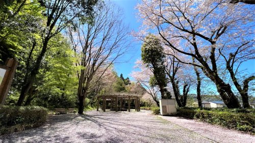 公園　本城山公園（公園）まで525m