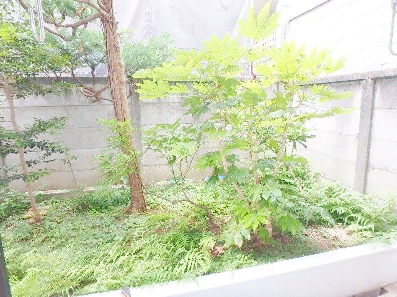 庭