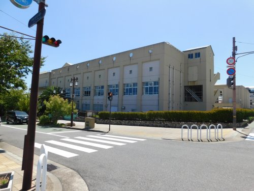 小学校　神戸市立灘小学校（小学校）まで611m
