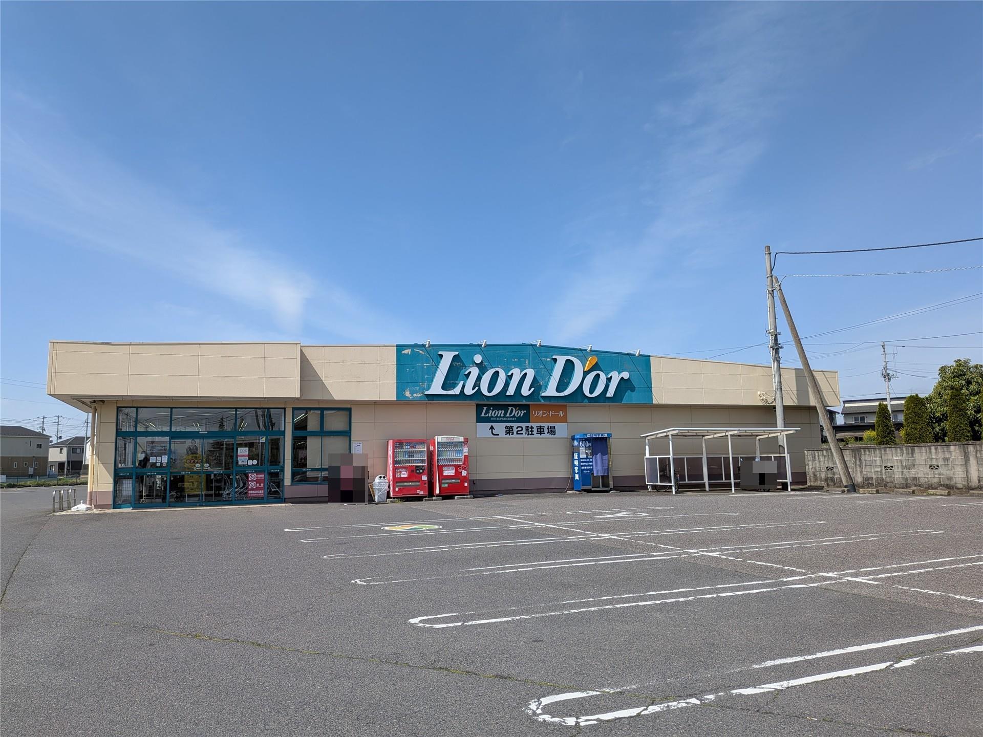 スーパー　リオン・ドール矢吹東店（スーパー）まで540m