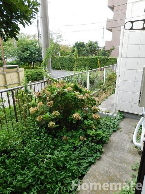 庭