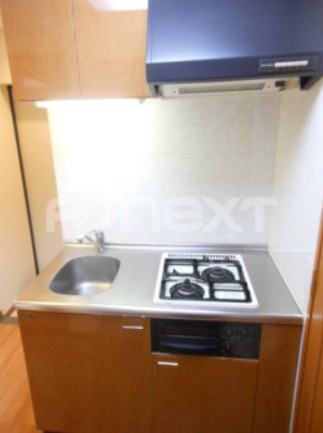 ガラ・シティ駒沢大学のキッチン写真