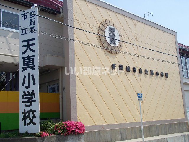 ＪＲ仙石線 多賀城駅 徒歩6分 2階建 築34年の周辺写真