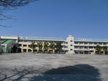小学校　府中第八小学校（小学校）まで489m