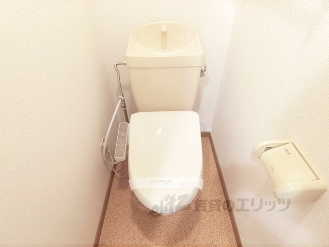 ラフィネシャトレー2番館Aのトイレ写真