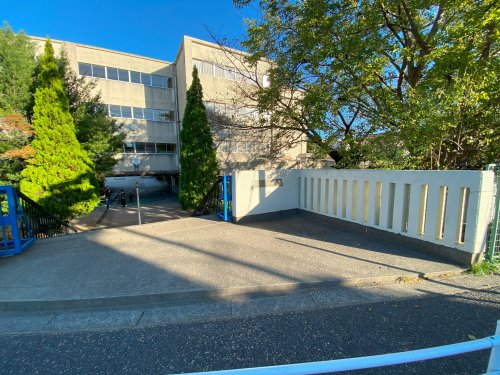 小学校　松戸市立柿ノ木台小学校（小学校）まで504m