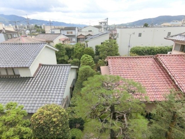 眺望