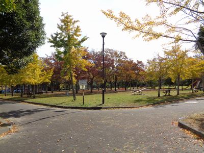 公園　多米公園（公園）まで978m