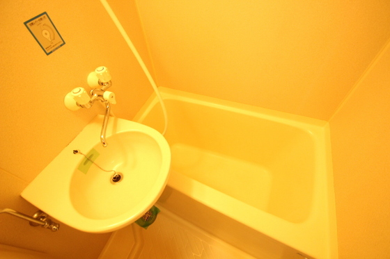 バス・シャワールーム　※別部屋の写真です