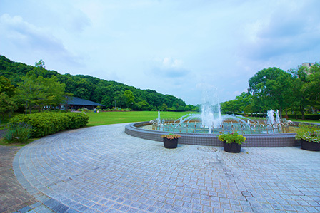 その他共有部分　大きな芝生広場のある地域の憩いの公園です。「ウッディタウン中