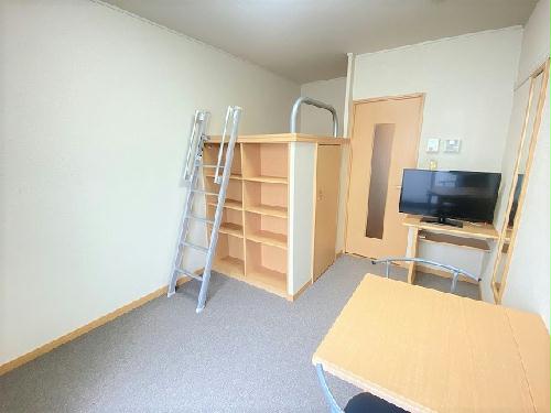 居室・リビング　お部屋によって絨毯の色が異なります