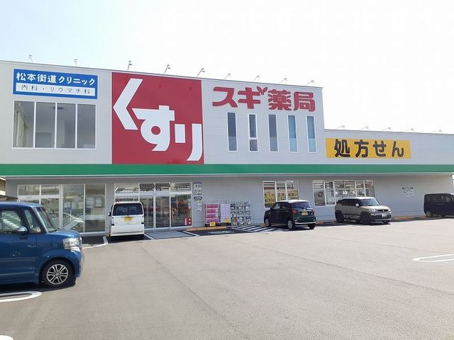 ドラックストア　スギ薬局四日市中央店（ドラッグストア）まで1200m
