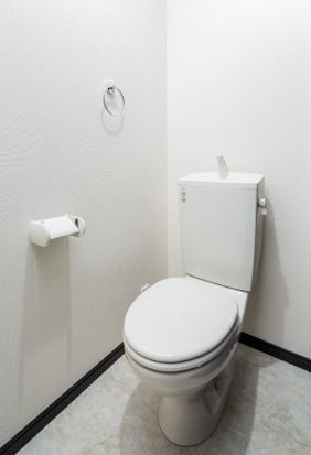 トイレ　トイレも気になるポイント