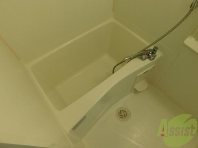 バス・シャワールーム　広い浴室です