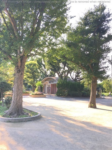その他　世田谷区羽根木公園（その他）まで514m