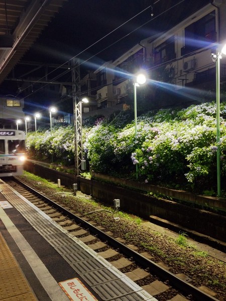 その他　東松原駅(京王 井の頭線)（その他）まで120m