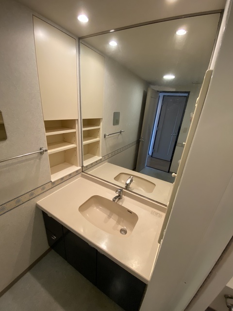 洗面設備　準備が捗る独立タイプ