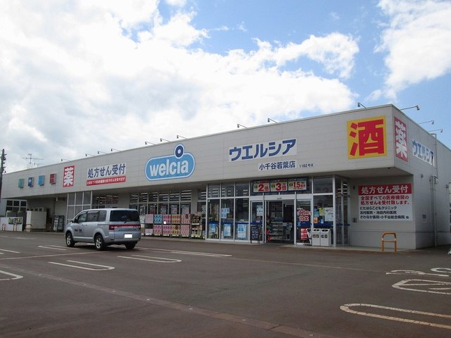 ドラックストア　ウエルシア（ドラッグストア）まで650m