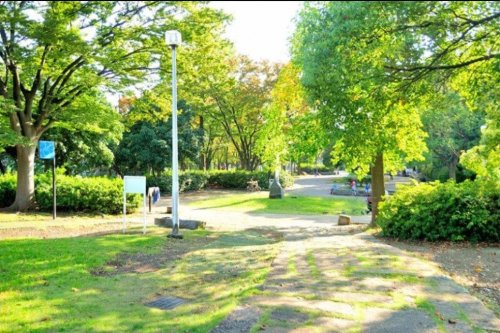 公園　等々力緑地（公園）まで860m