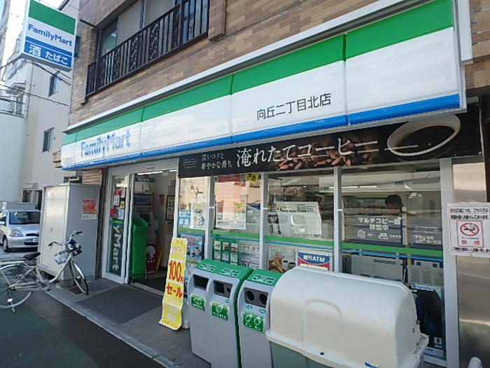 コンビニ　ファミリーマート（コンビニ）まで249m