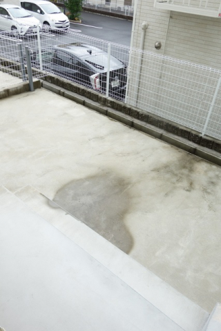庭