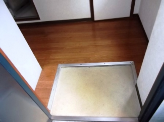 玄関　ウィング英