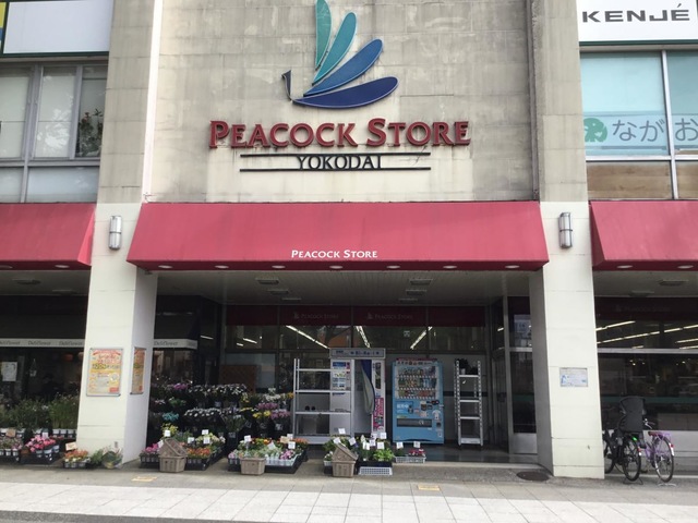 スーパー　ピーコックストア 洋光台店（スーパー）まで1125m