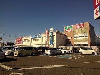 ホームセンター　島忠（ホームセンター）まで260m
