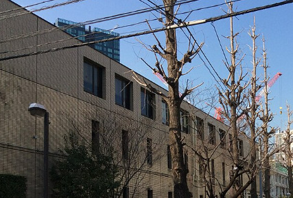 小学校　港区立赤羽小学校（小学校）まで504m