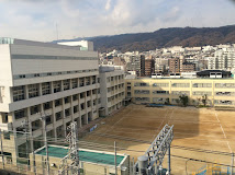 小学校　神戸市立東灘小学校（小学校）まで486m