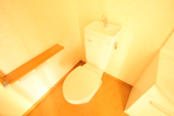 トイレ　※別号室の写真です