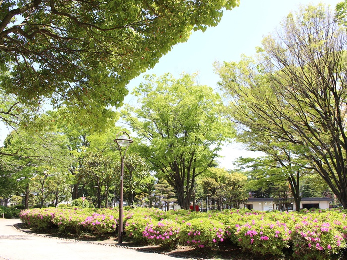 公園　鹿沼公園（公園）まで529m