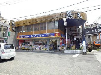 スーパー　くすりのセイジョー 柿生駅前店（スーパー）まで274m