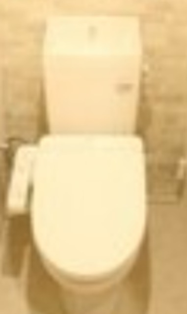 トイレ　同仕様