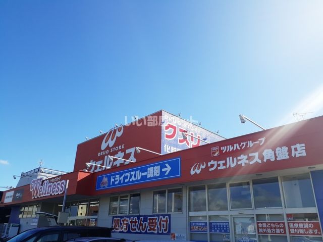 ドラックストア　ウェルネス角盤店（ドラッグストア）まで698m