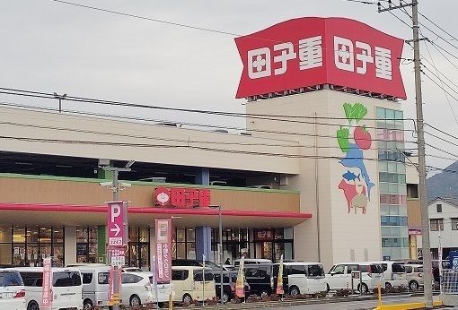 スーパー　田子重 西島町店（スーパー）まで1000m