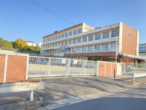 小学校　名古屋市立西城小学校（小学校）まで464m