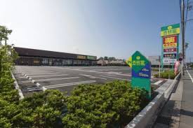 ドラックストア　杏林堂薬局新津店（ドラッグストア）まで842m