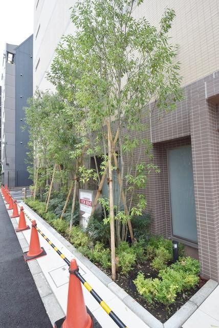 庭　管理の行き届いた植栽