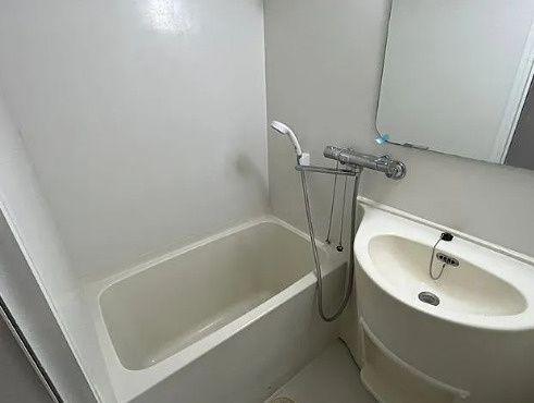 バス・シャワールーム　同タイプ部屋　参考写真です