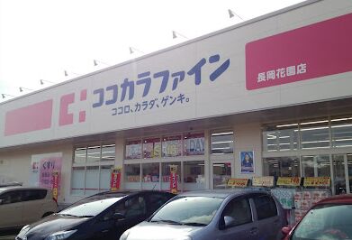 ドラックストア　ココカラファイン長岡花園店（ドラッグストア）まで627m