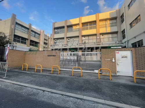 小学校　東大阪市立柏田小学校（小学校）まで1234m