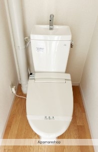 京王井の頭線 久我山駅 徒歩14分 2階建 築47年のトイレ写真