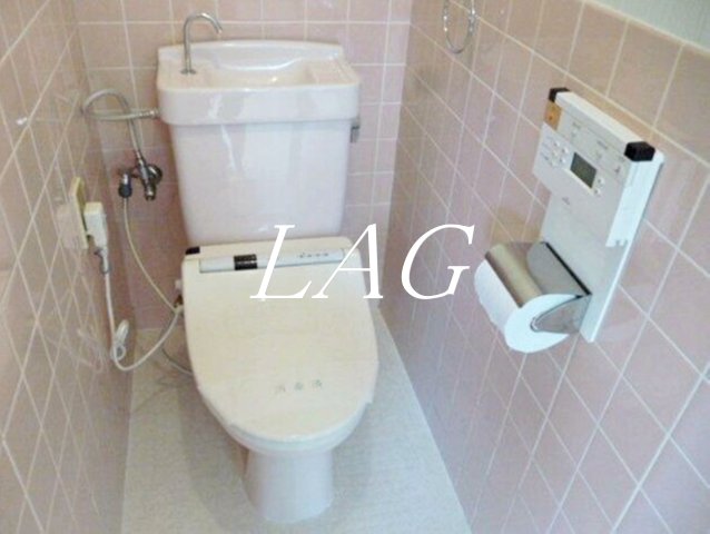 京急空港線 糀谷駅 徒歩10分 3階建 築40年のトイレ写真